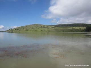 Lago Trearie